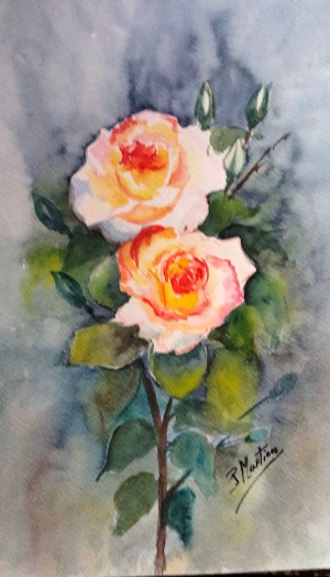 Acuarelas originales