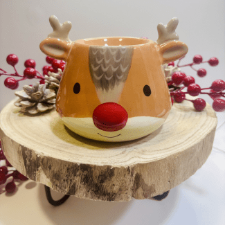 Quemador de melts | Reindeer