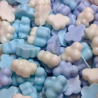 Wax melts Esenciales🧚| Clean