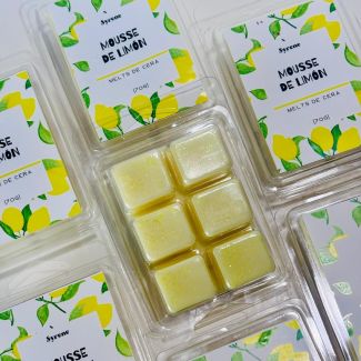 Wax melts 🌸🩷 | Mousse de Limón