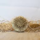 Jabón de Glicerina con Manzanilla y Avena