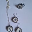 Blue Lily Set 3