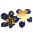 Flamboyant Earrings 6