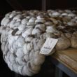 Felt stone carpet / Felt stone carpet 2