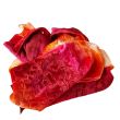 Distressed red silk velvet scarf: hand-dyed floral shawl 8