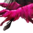 Chal de gasa de seda negra: ribete de plumas fucsias