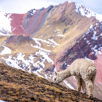 Artesanía por el mundo - Perú